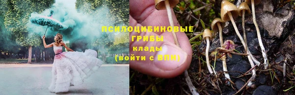 гидропоника Балахна