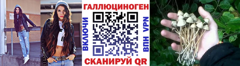 Галлюциногенные грибы Cubensis  цена   ссылка на мегу ССЫЛКА  Буинск 